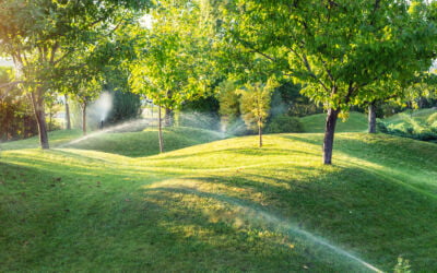 The Importance Of Summer Property Maintenance For Commercial & Industrial Properties